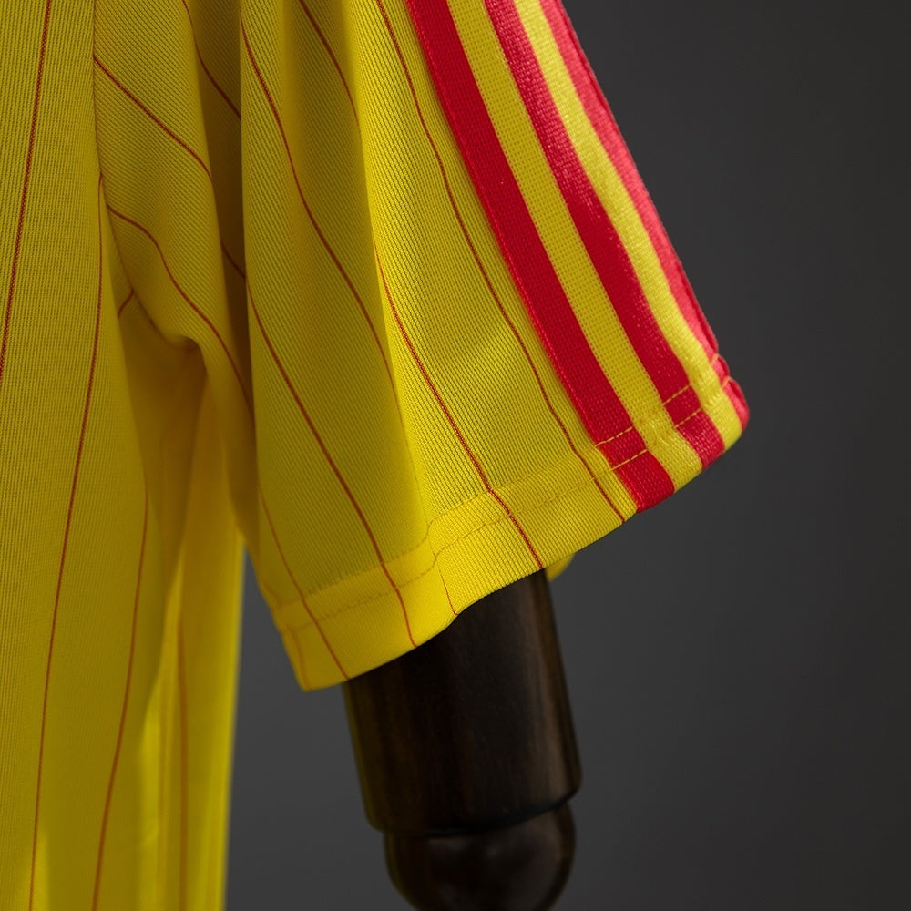 Colombia Terrace Icons Shirt 2026 World Cup Football Kit product image 4