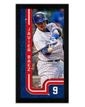 Chicago Cubs Javier Baez Pinstripe Miniframe- 13”x 6.75 product image 1, provided for visual reference and product detail