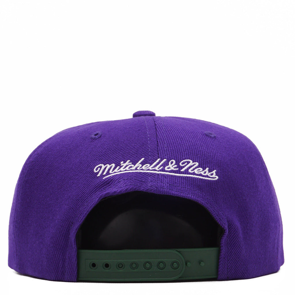 Milwaukee Bucks 2 Tone Purple/ Green Mitchell & Ness NBA Core Basic Hardwood Classics Snapback Adjustable Hat for Men