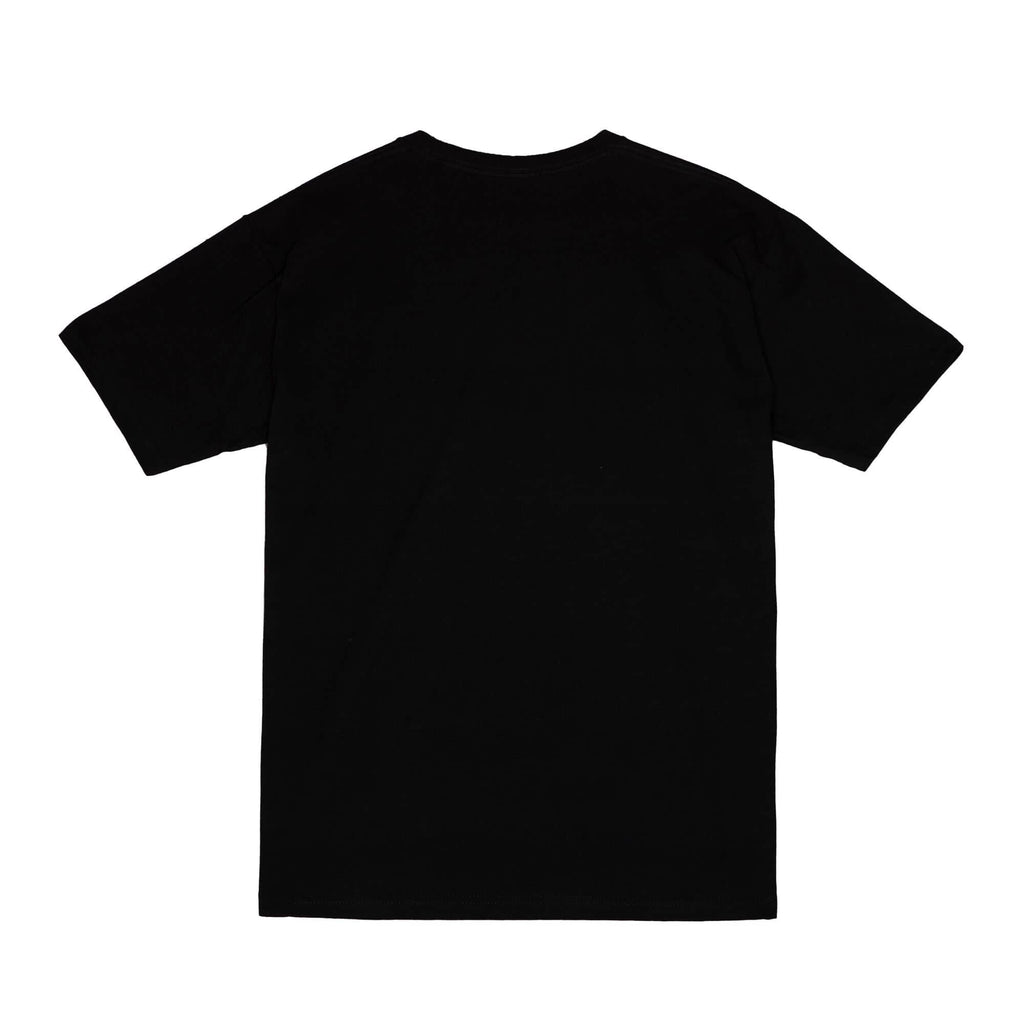 Charlotte Hornets NBA Legendary Slub Black T-Shirt By Mitchell And Ness for Men product image 2, provided for visual