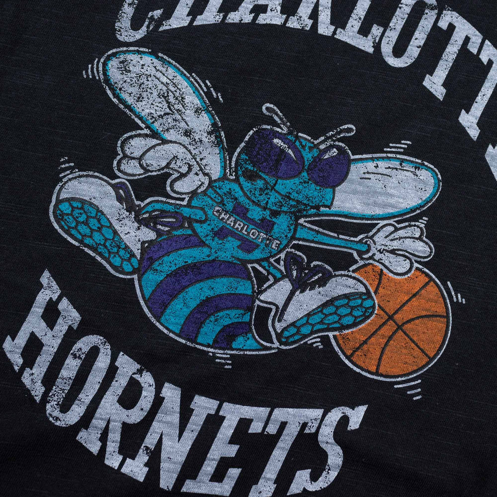 Charlotte Hornets NBA Legendary Slub Black T-Shirt By Mitchell And Ness for Men product image 3, provided for visual