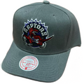 Toronto Raptors Pro Crown Fit Mitchell & Ness Gray Snapback Hat product image 1, provided for visual reference and product