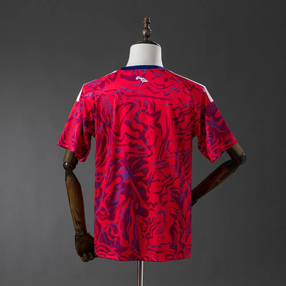 Costa Rica Jersey 2026 World Cup Home Football Kit product image 4