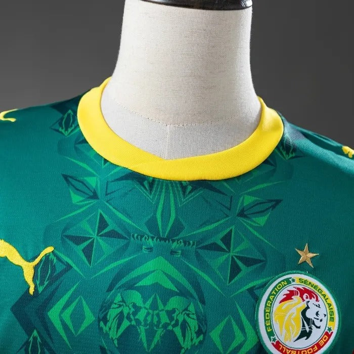 Senegal Jersey 2026 World Cup Away Football Kit product image 3