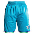 Charlotte Hornets Mitchell and Ness Hardwood Classics Teal 1999-2000 Swingman Shorts product image 1, provided for visual
