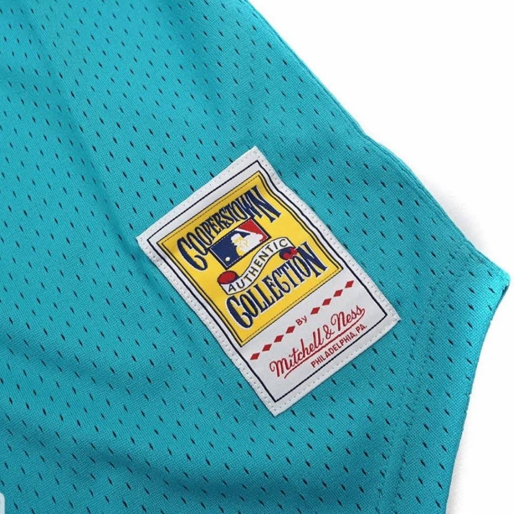 Florida Marlins Andre Dawson 1995 Mitchell & Ness Teal Fashion Cooperstown Collection Mesh Batting Practice Jersey for Men