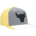 Chicago Bulls Mitchell & Ness Gray/Yellow Day 5 Snapback Hat for Men product image 1, provided for visual reference and