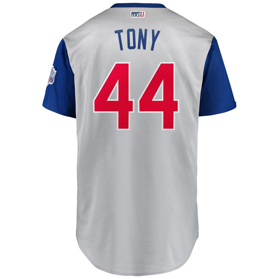 Chicago Cubs Anthony Rizzo "Tony" Majestic Gray 2019 MLB Little League Classic Replica Player Jersey for Men product image