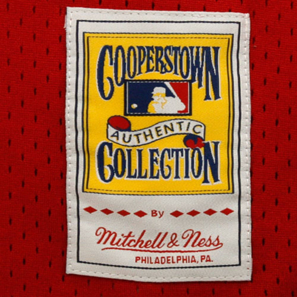 Cincinnati Reds Johnny Bench Mitchell & Ness Red 1983 Authentic Cooperstown Collection Mesh Batting Practice Jersey for Men