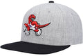 Toronto Raptors Mitchell & Ness Gray/Purple Heathered Underpop Snapback Hat for Men product image 1, provided for visual