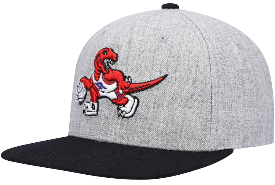 Toronto Raptors Mitchell & Ness Gray/Purple Heathered Underpop Snapback Hat for Men product image 1, provided for visual