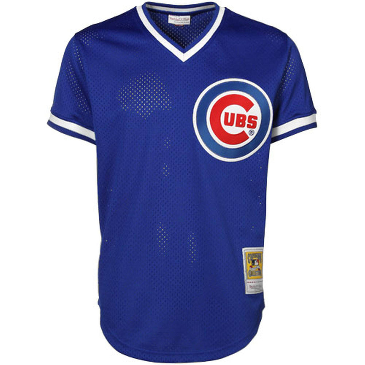 Ryne Sandberg Chicago Cubs 1984 Authentic Mesh BP Jersey Chicago Cubs By Mitchell & Ness product image 2, provided for